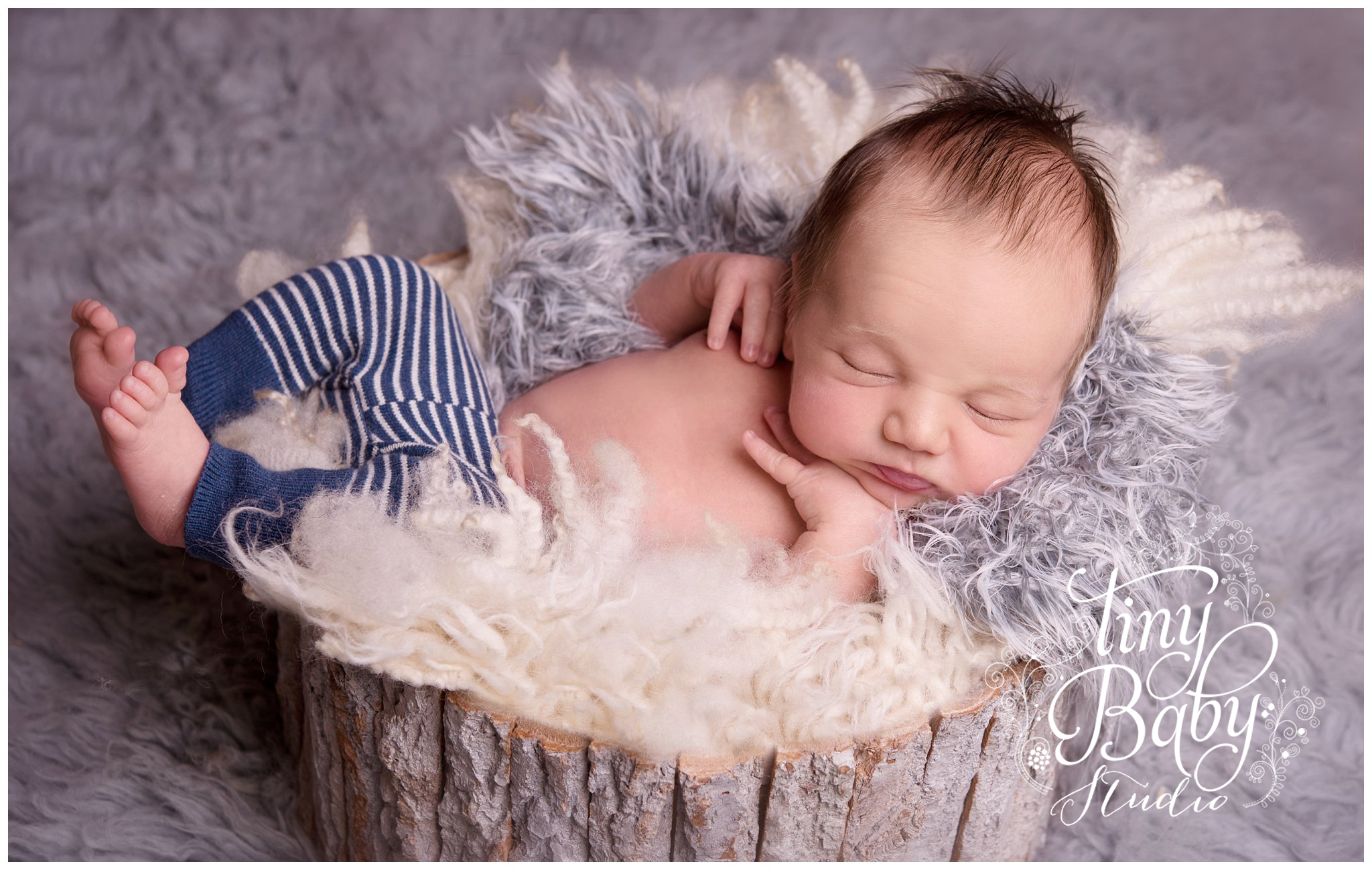 Tiny Baby Studio Newborn Photographer Range of Props