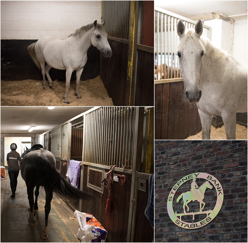 Tiny Baby Studio Newcastle Newborn Photography Ouseburn Stepney Bank Stables Horses
